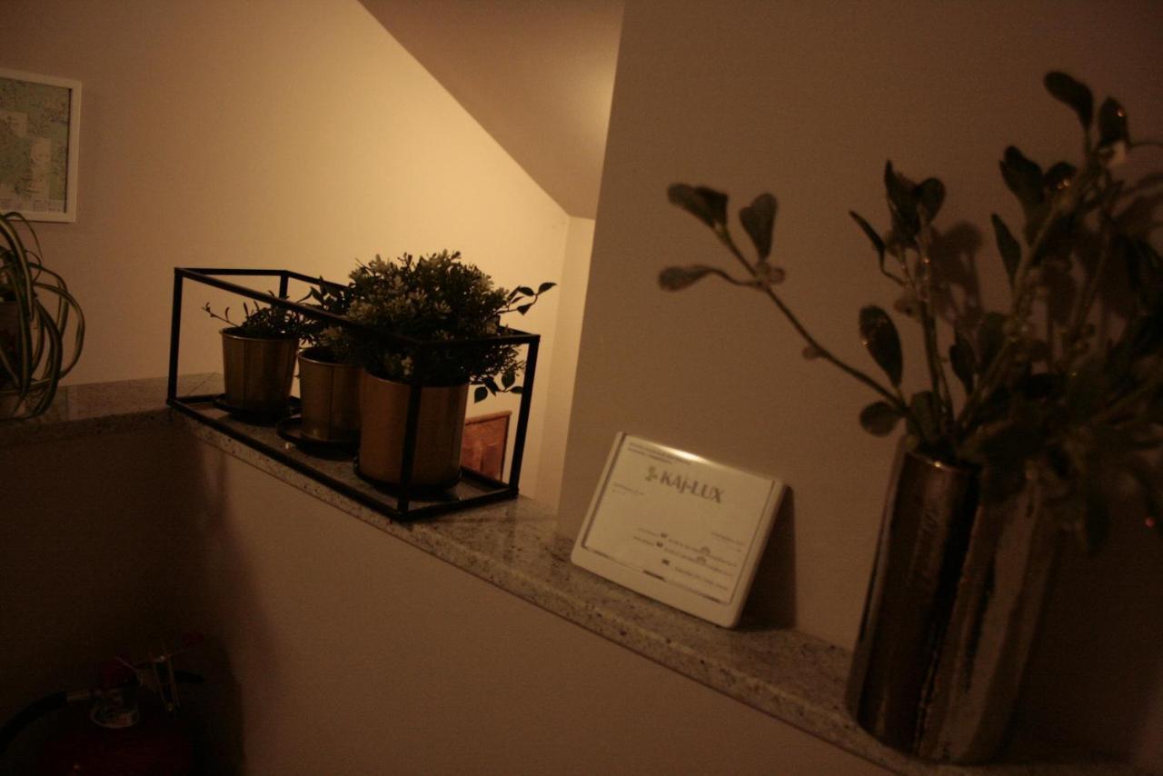 Kaj-Lux Apartment Тухелске Топлице Екстериор снимка